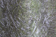 Quaking Houses fibreglass roof work